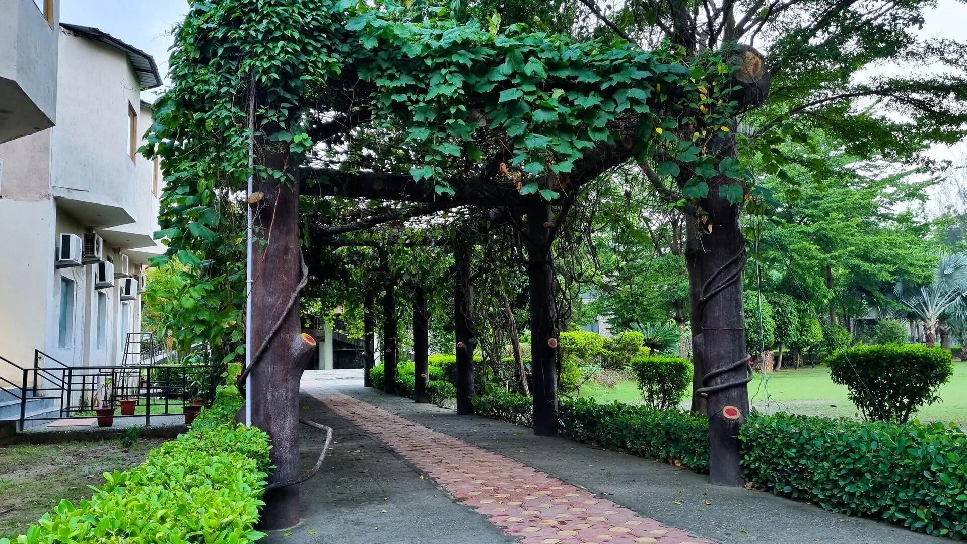 Bento The Roar Resort Garden