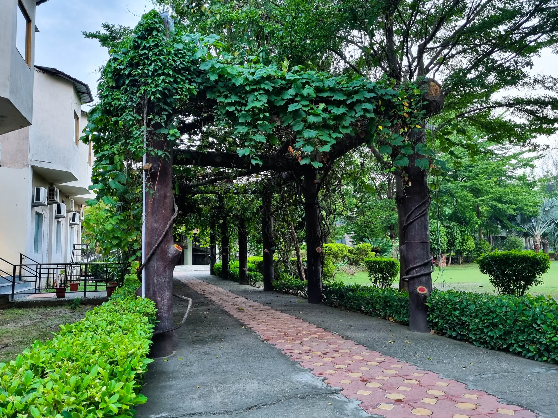 Bento The Roar Resort Garden