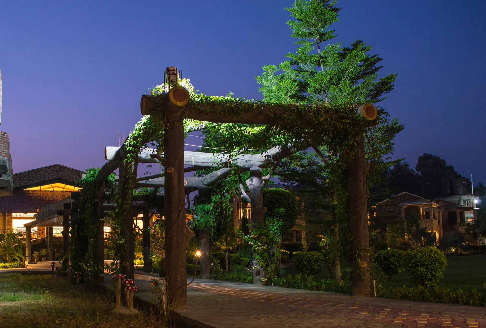 Bento The Roar Resort Garden