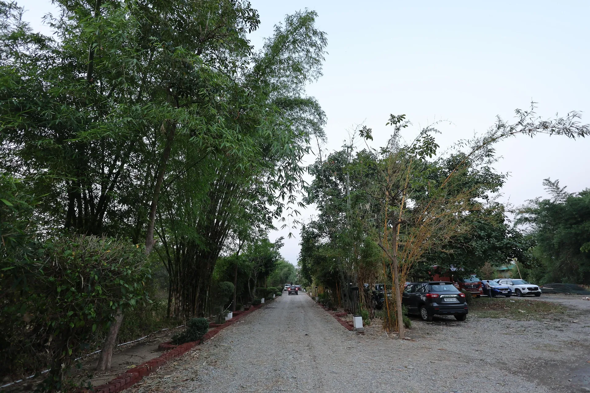 Bento The Roar Resort Parking