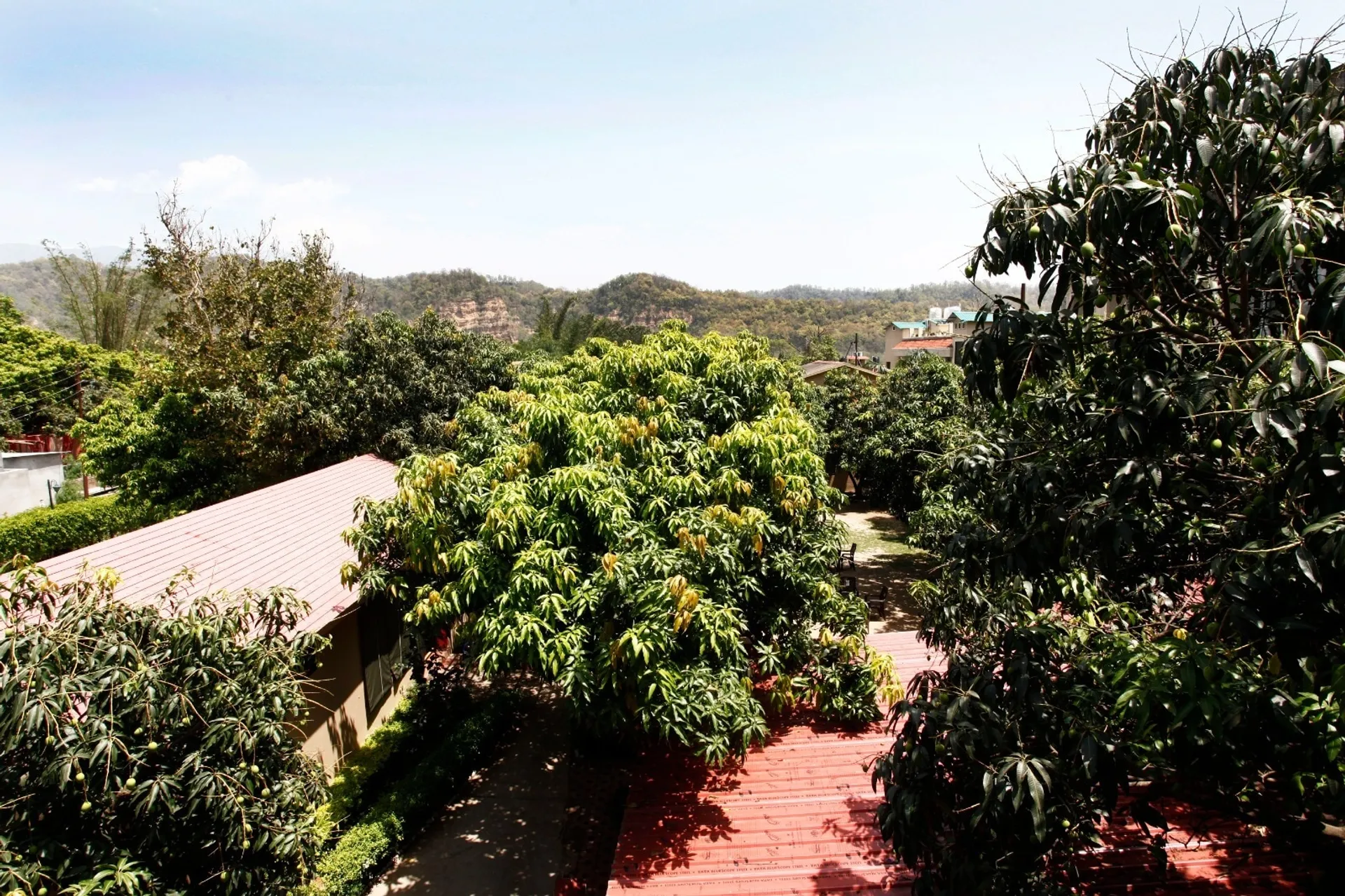 Corbett Aroma Park By Royal Collection Hotels Outdoors