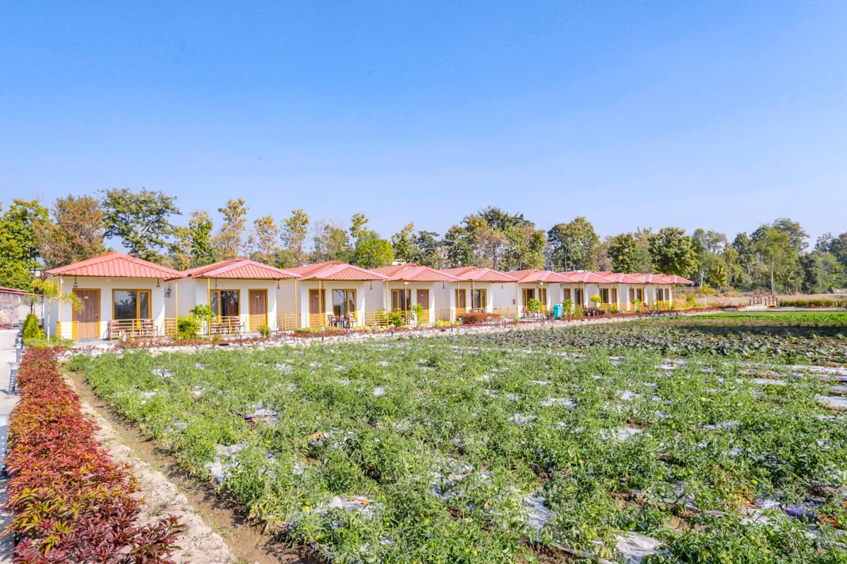 Corbett Tranquil Tiger Resort Outdoors