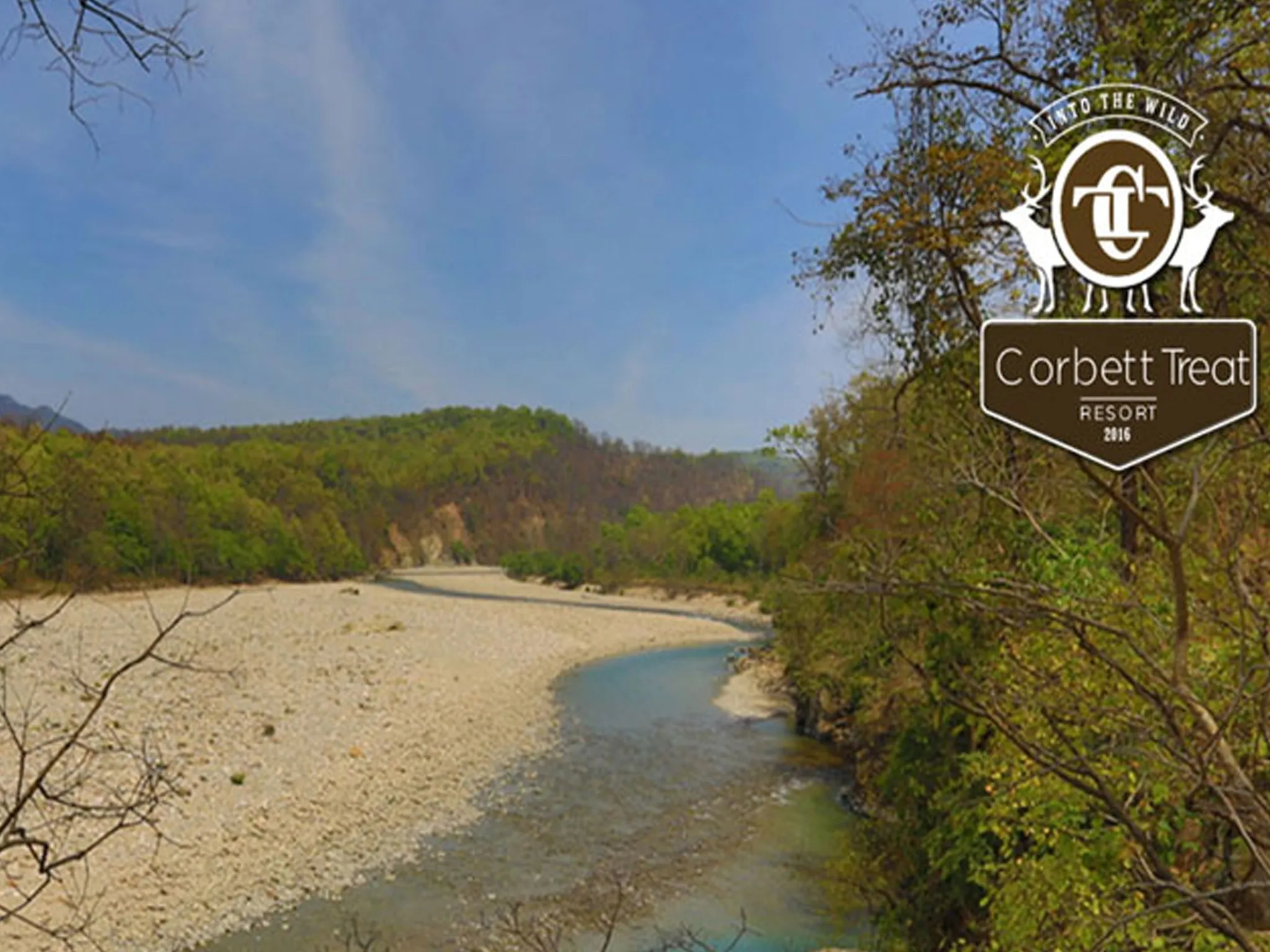 Corbett Treat Resort  Outdoors