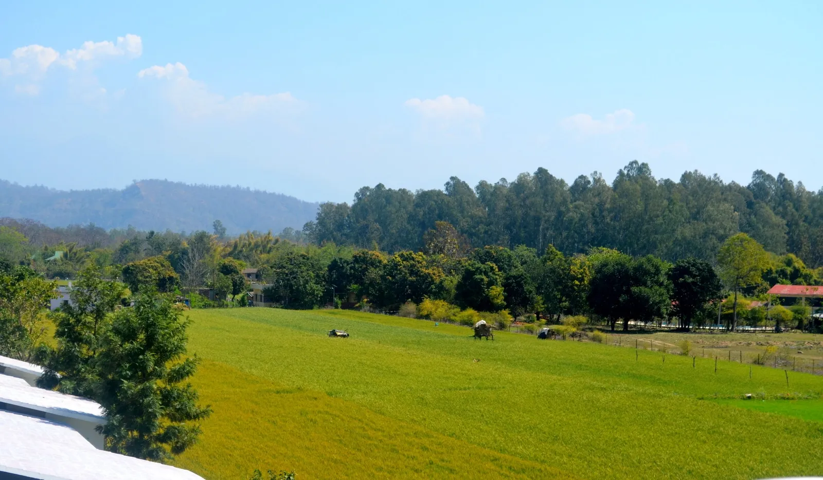 Corbett Treat Resort  Outdoors