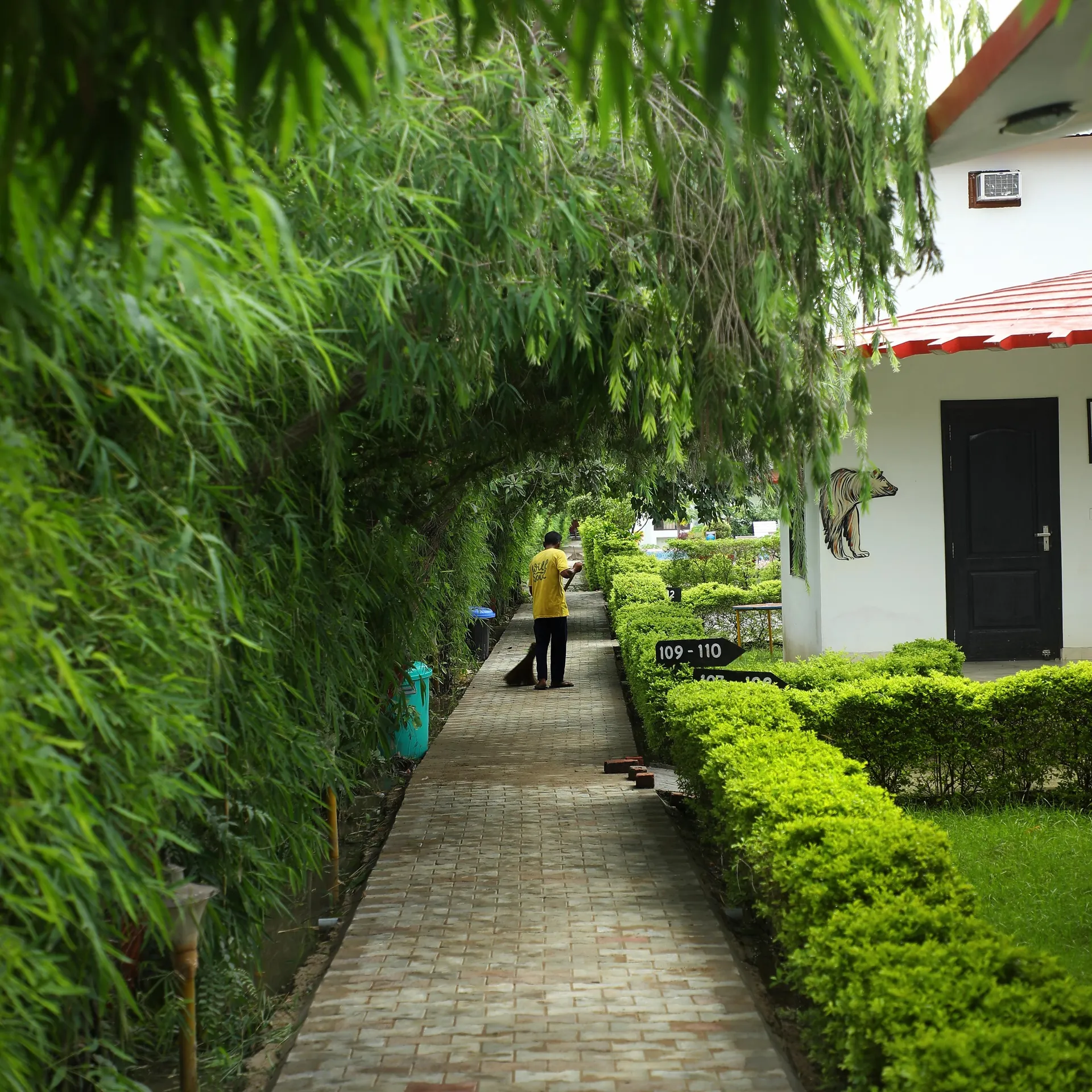 Corbett Treat Resort  Outdoors