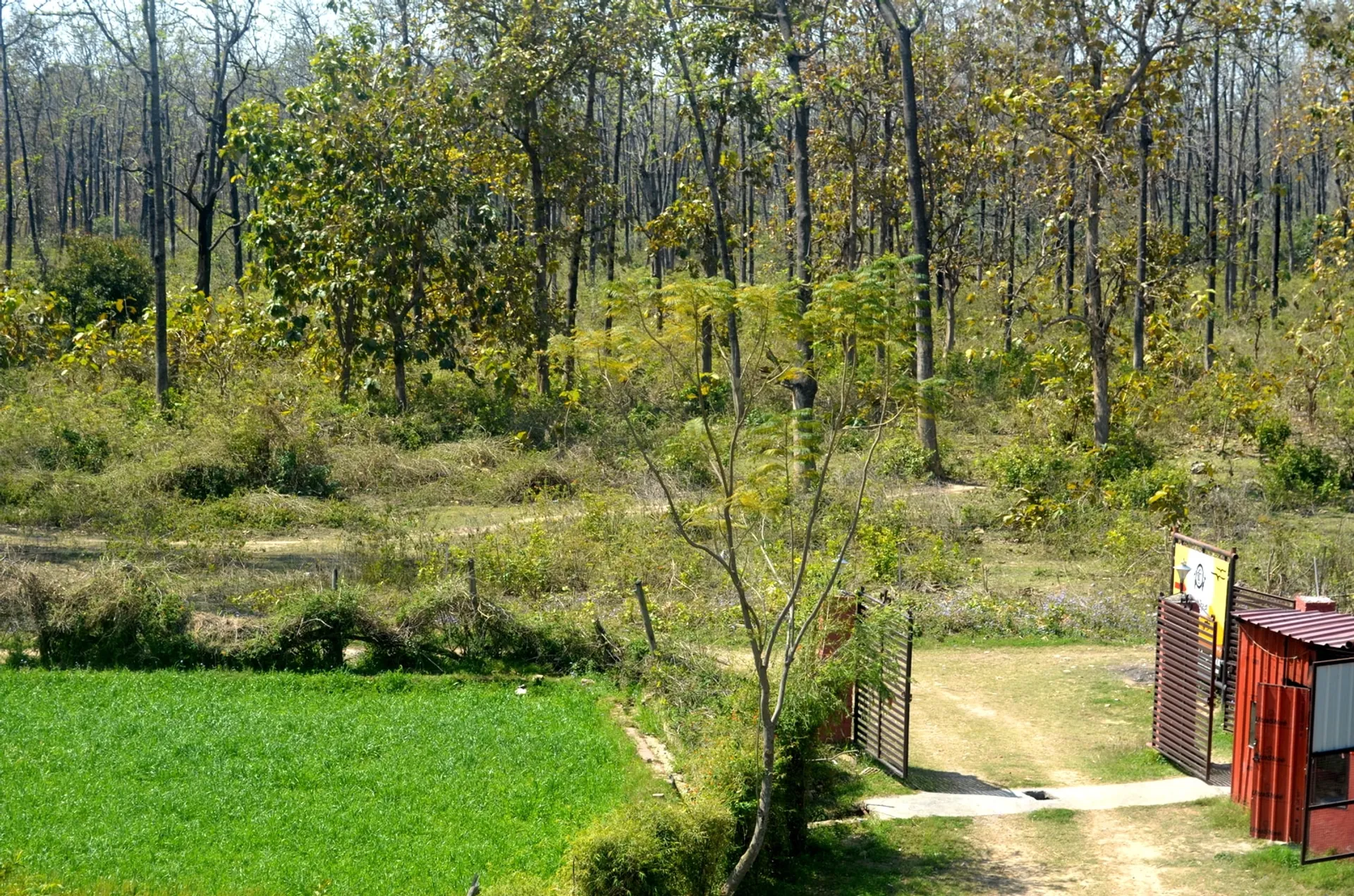 Corbett Treat Resort  Outdoors