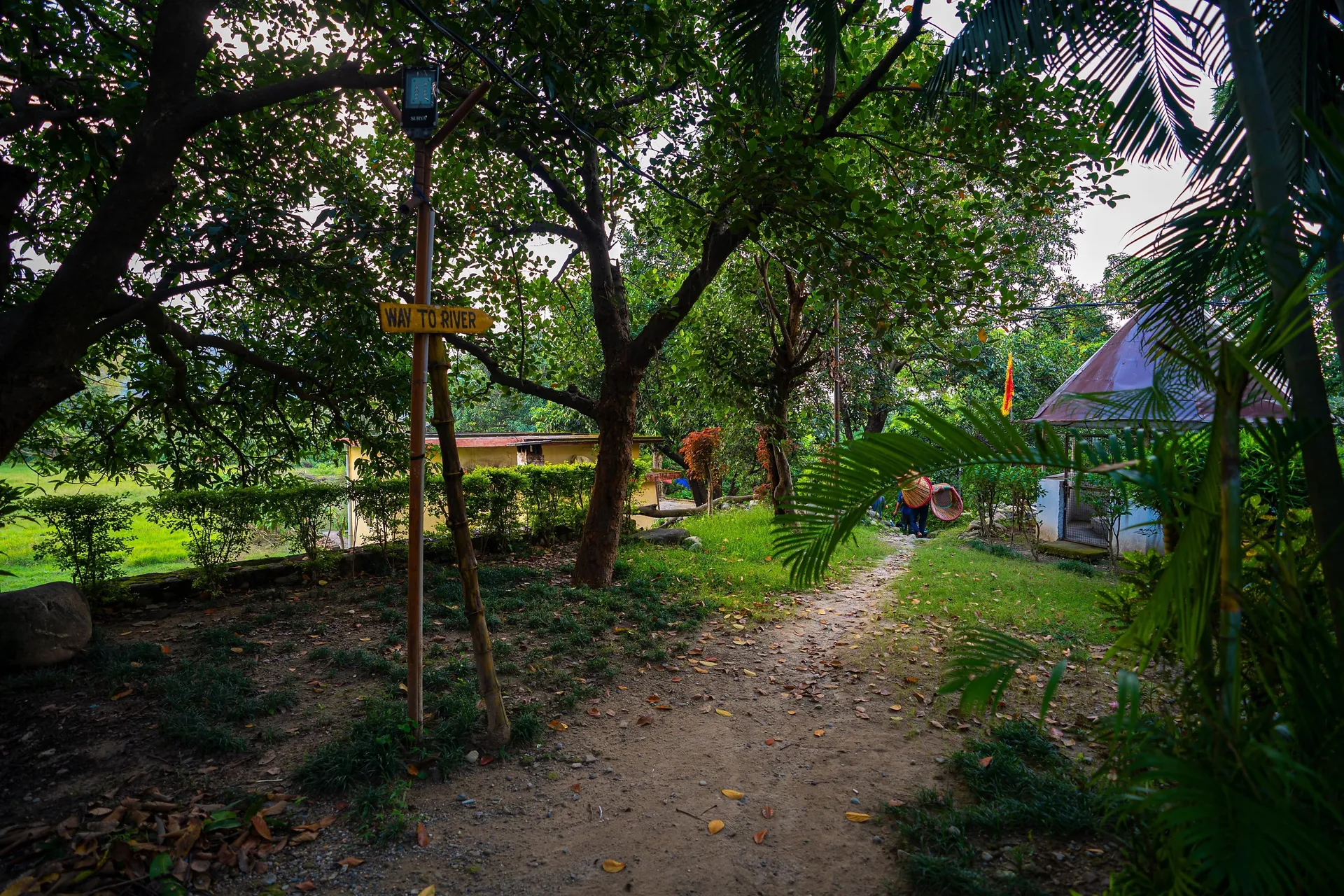 Corbett Wild Resort-A River Access Property Garden
