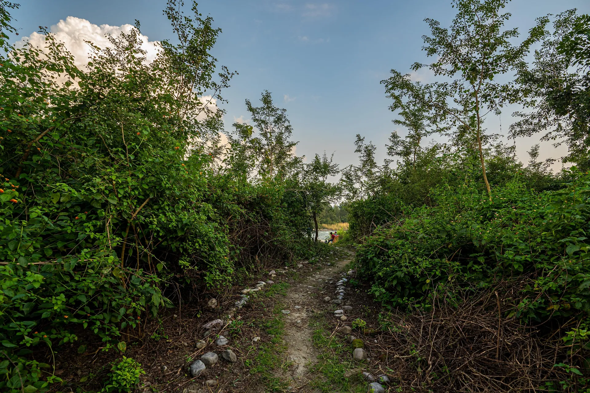 Corbett Wild Resort-A River Access Property Outdoors