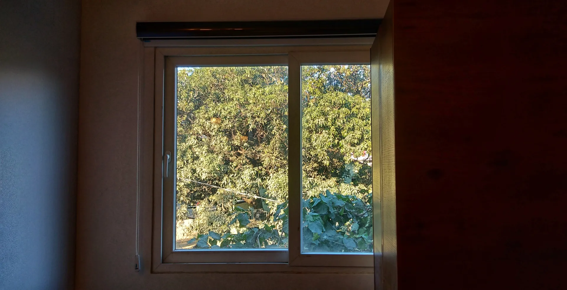 Iris Lite Room