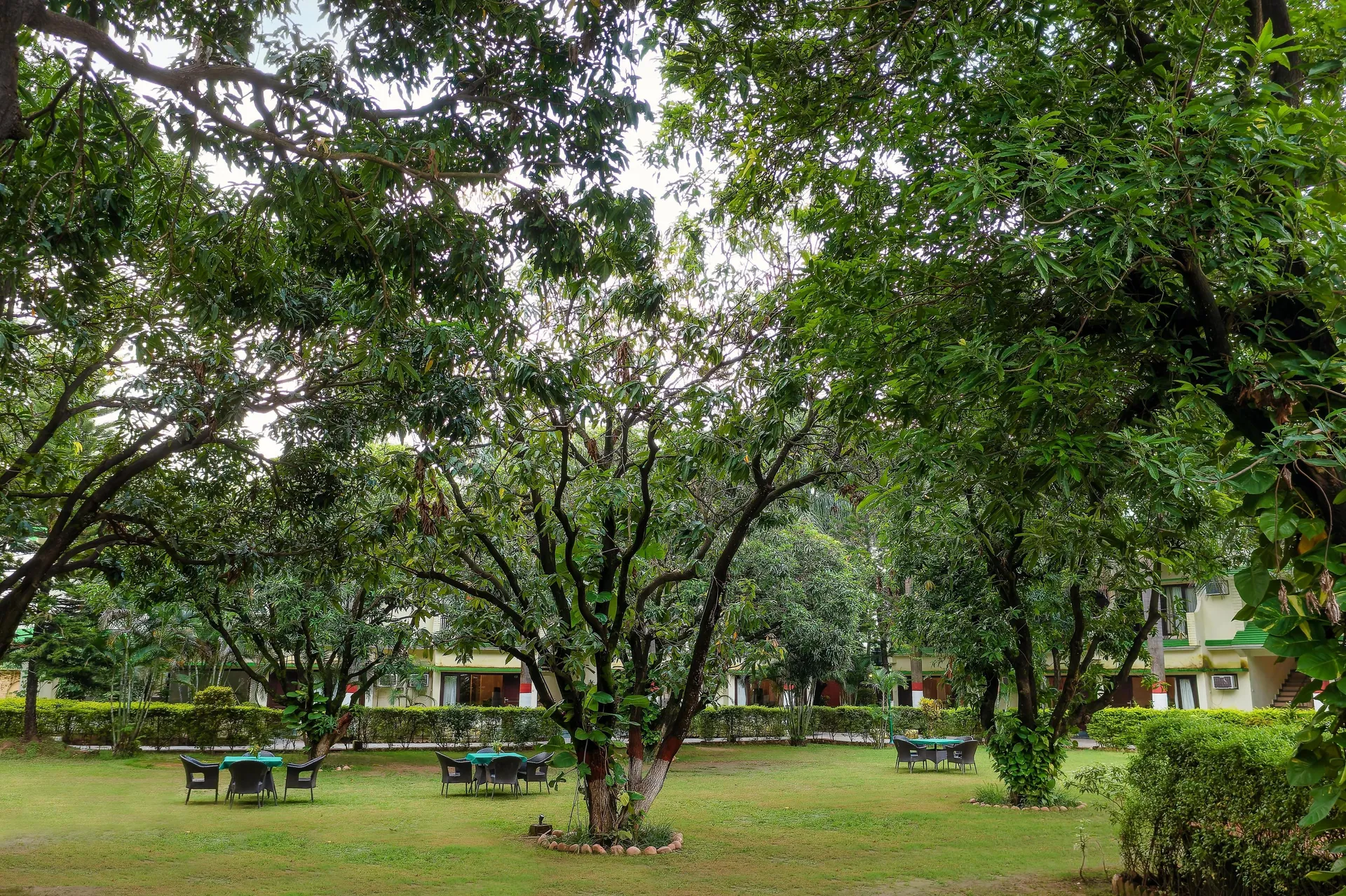 Maya The Forest Resort Room