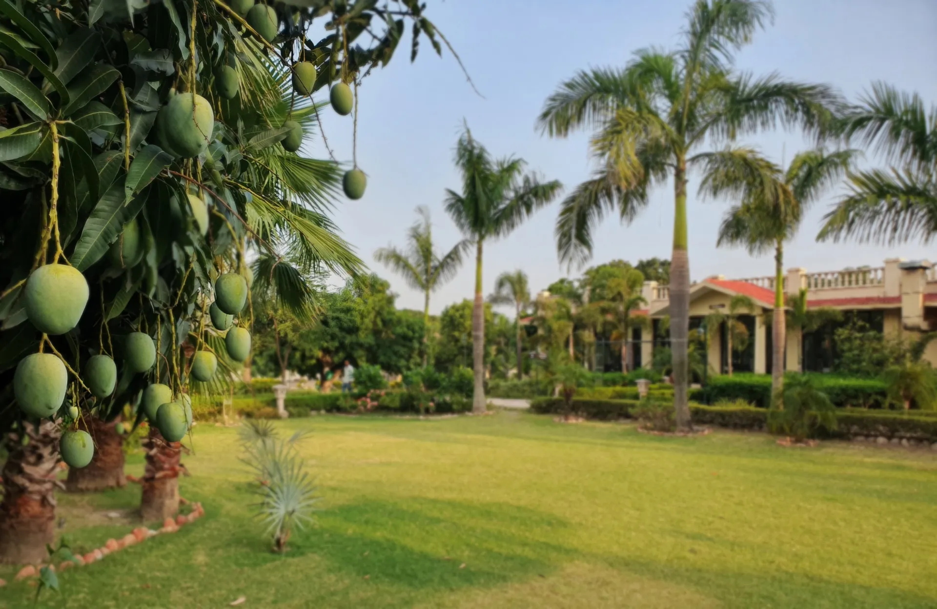 Nadiya Parao Resort Garden