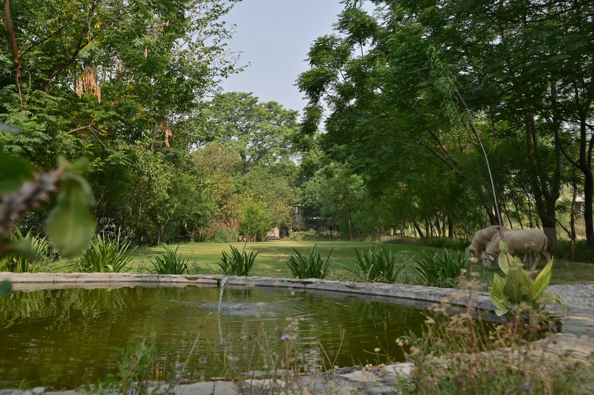 Saraca Resort & Spa Corbett Garden