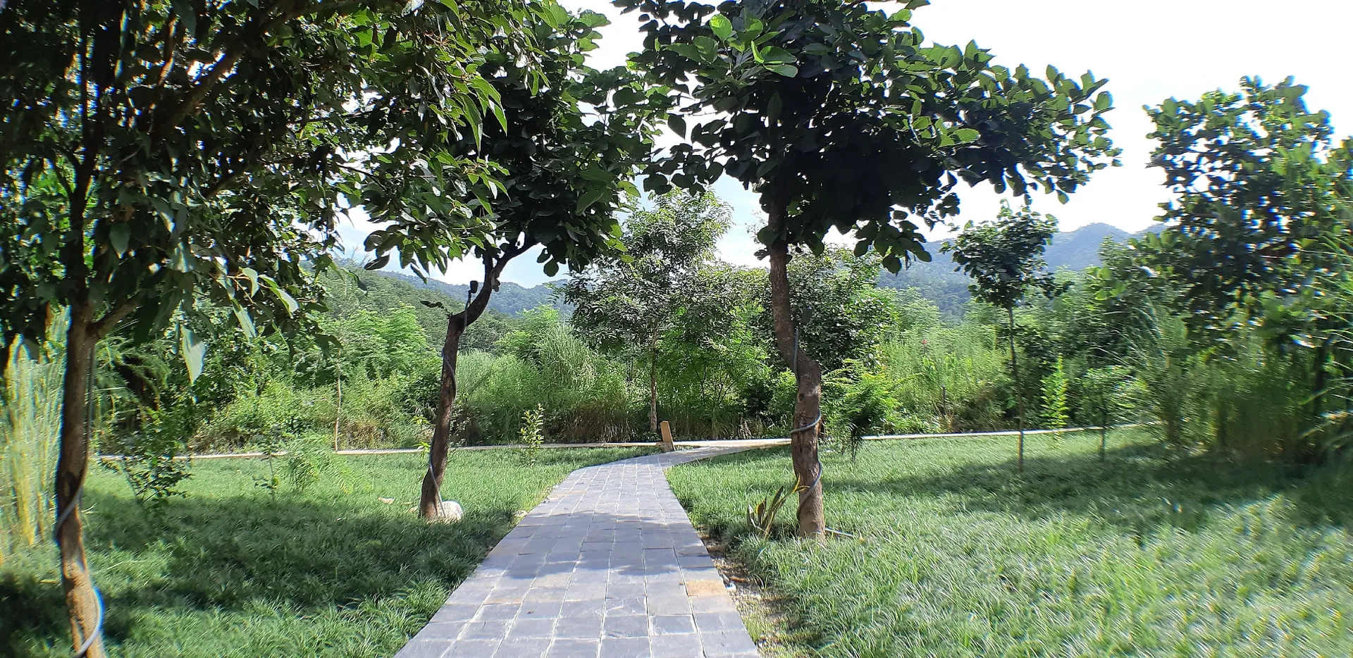 Saraca Resort & Spa Corbett Play Area
