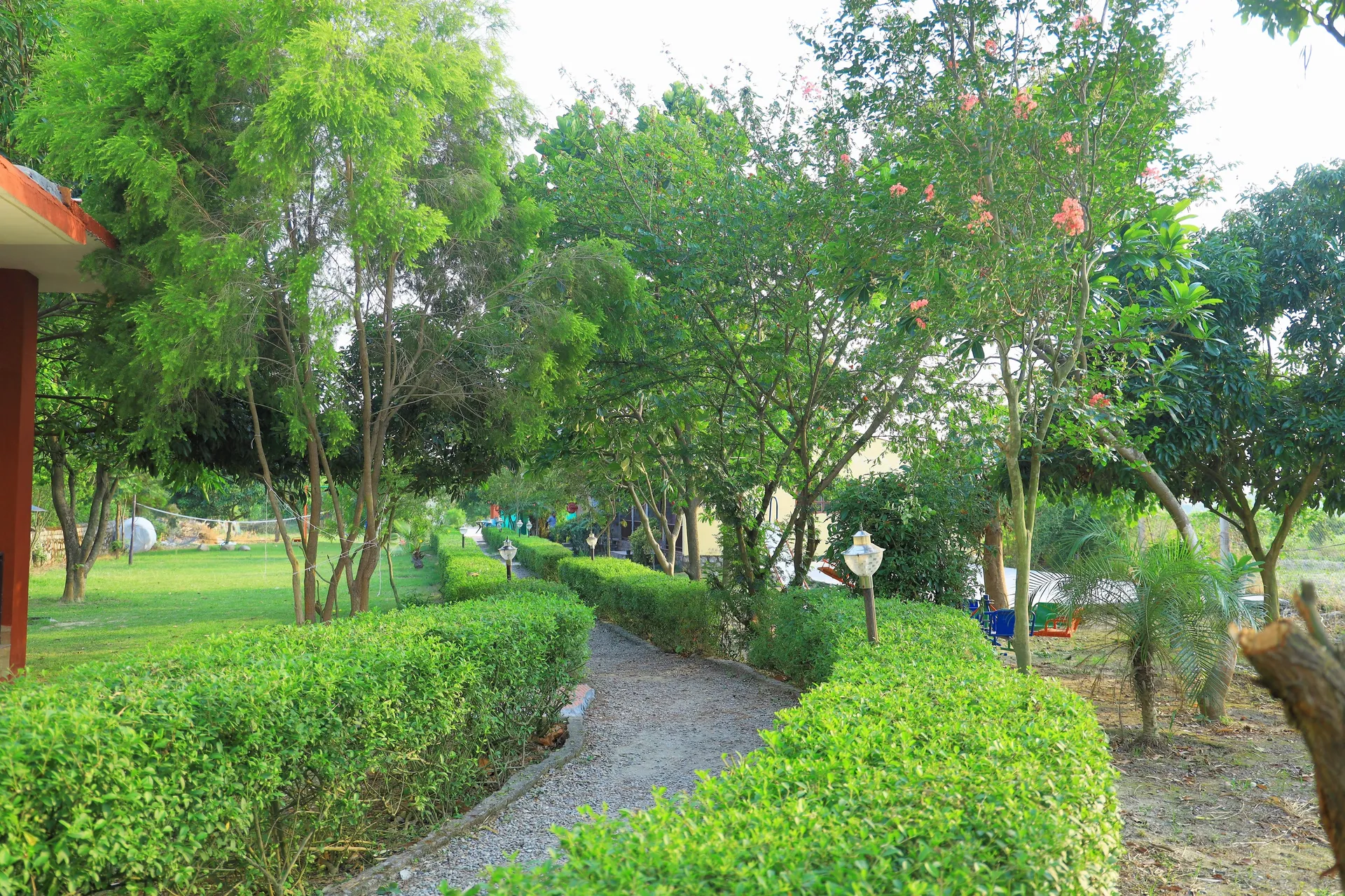 Vanasthali Jungle Resort Corbett By Royal Collection Room