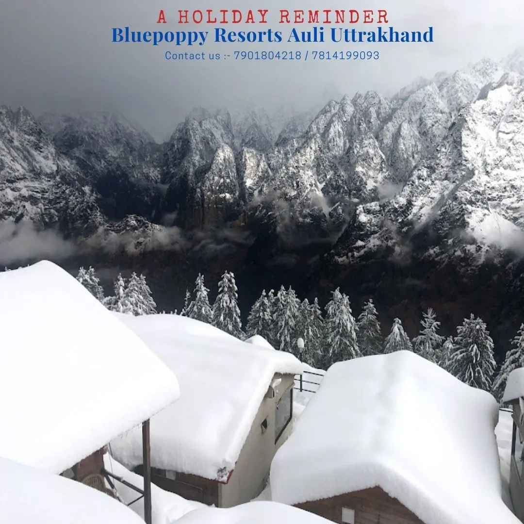 Blue Poppy Resort Auli - Near Auli Chairlift Banquet