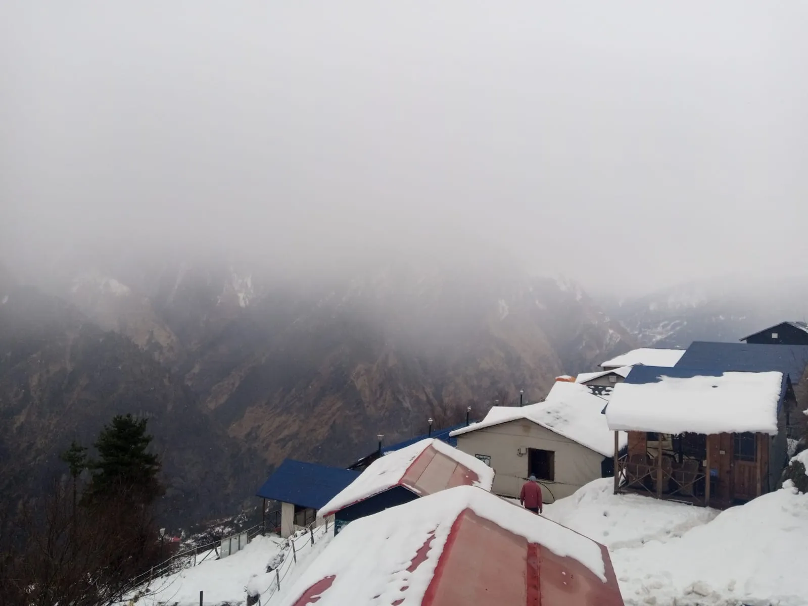 Blue Poppy Resort Auli - Near Auli Chairlift Entrance