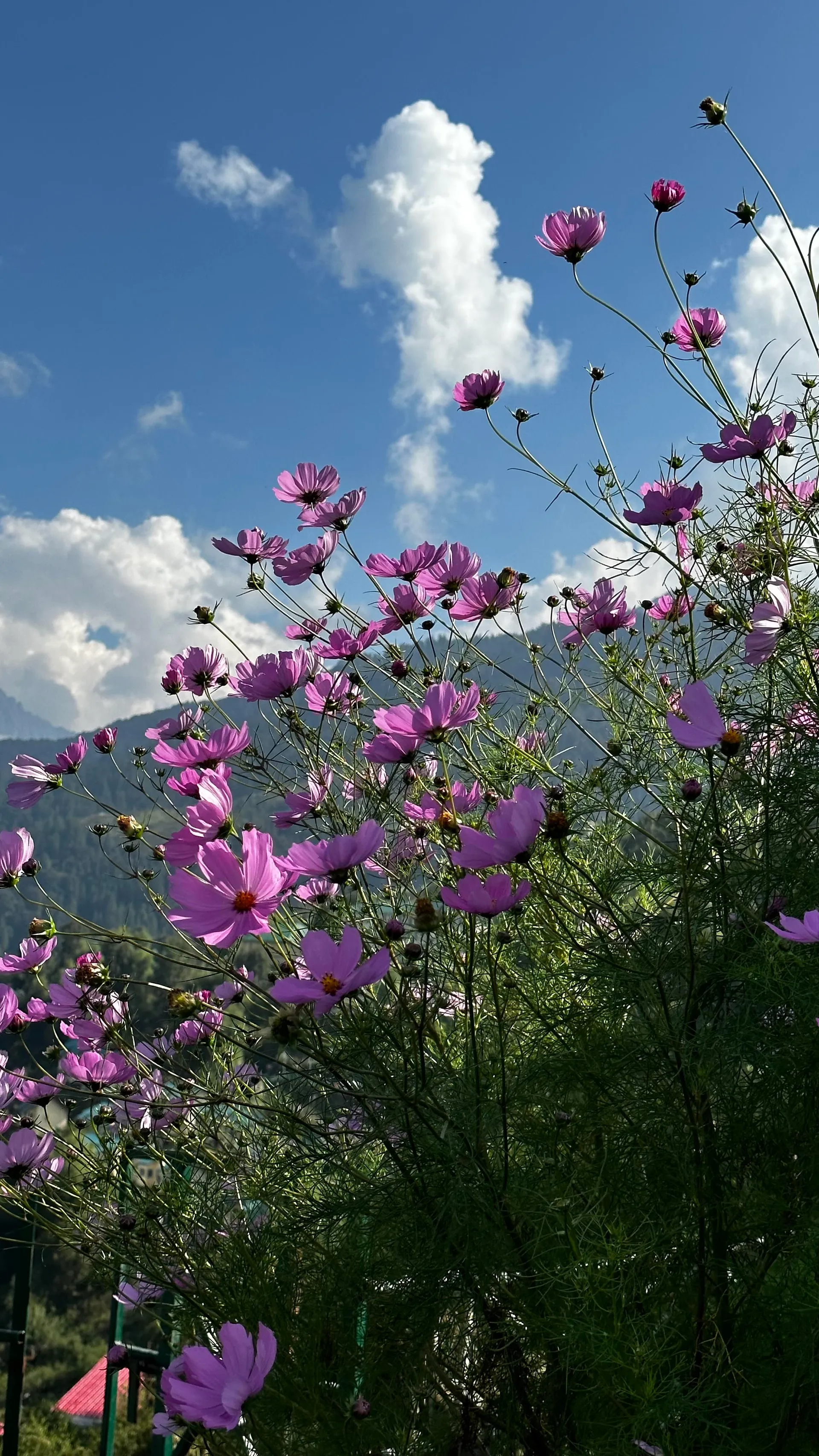 Blue Poppy Resort Auli - Near Auli Chairlift Facade