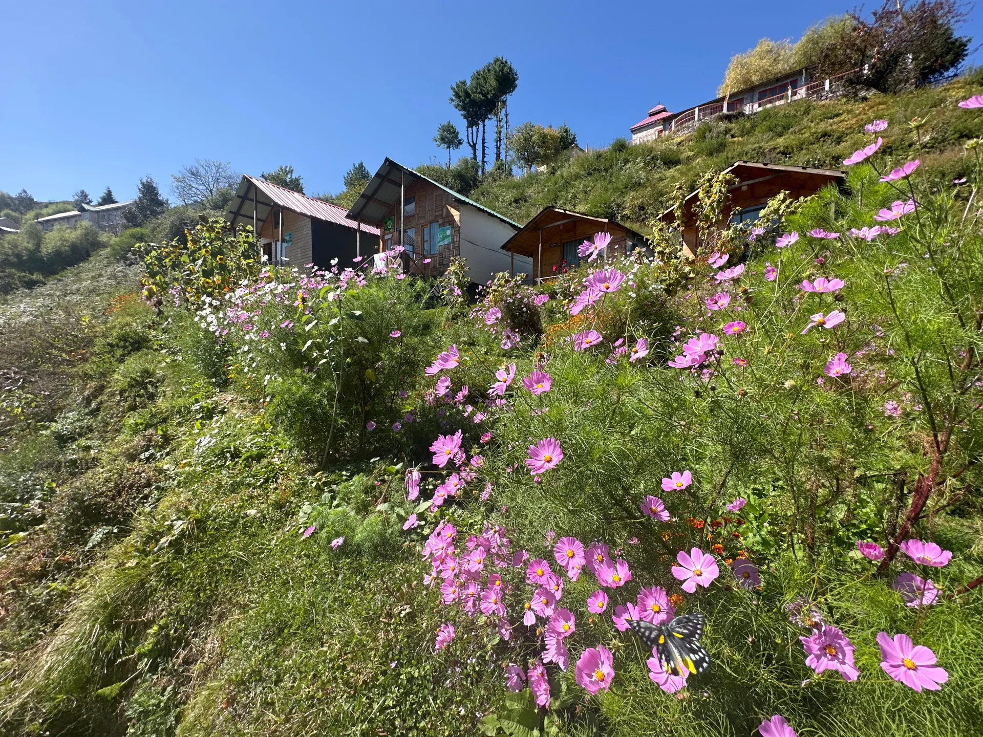 Blue Poppy Resort Auli - Near Auli Chairlift Facade