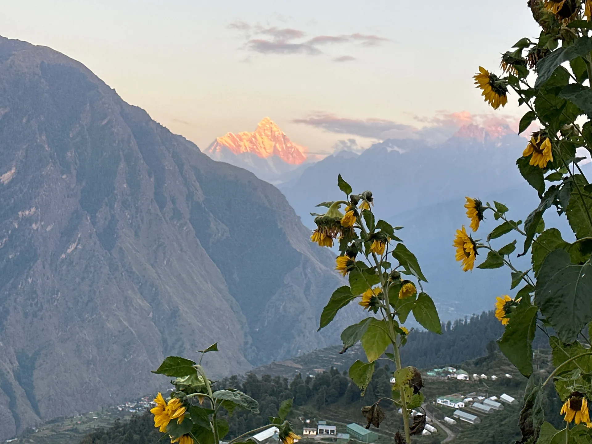 Blue Poppy Resort Auli - Near Auli Chairlift Facade