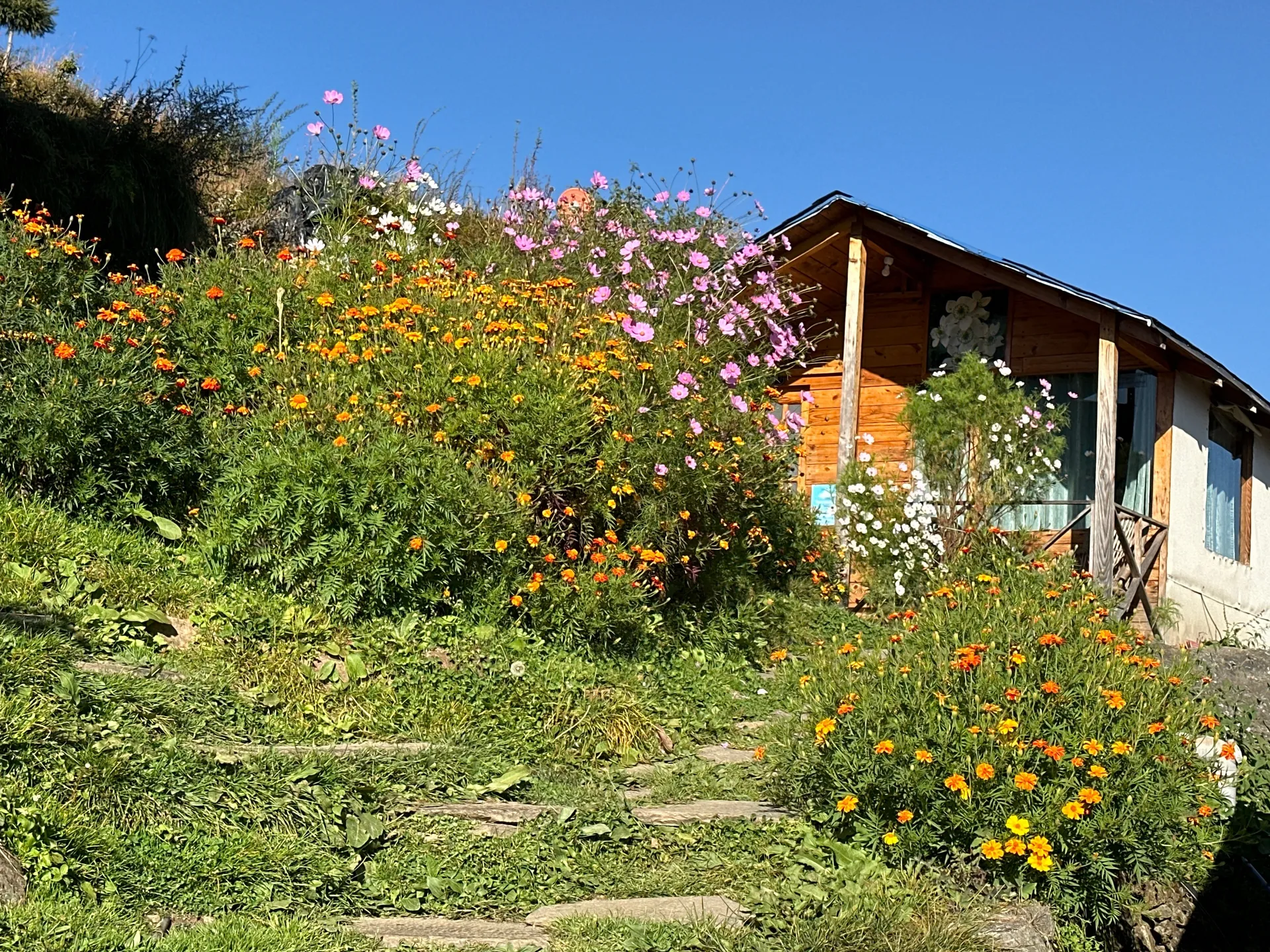 Blue Poppy Resort Auli - Near Auli Chairlift Facade