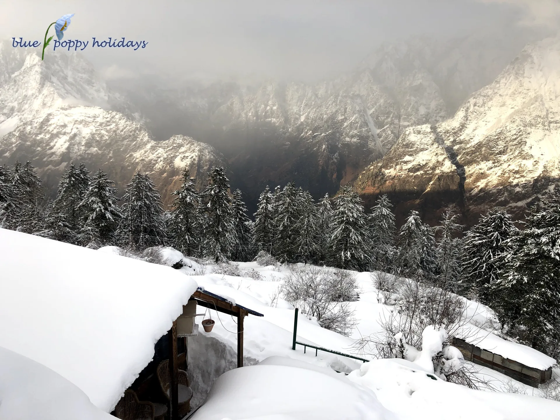 Blue Poppy Resort Auli - Near Auli Chairlift Facade