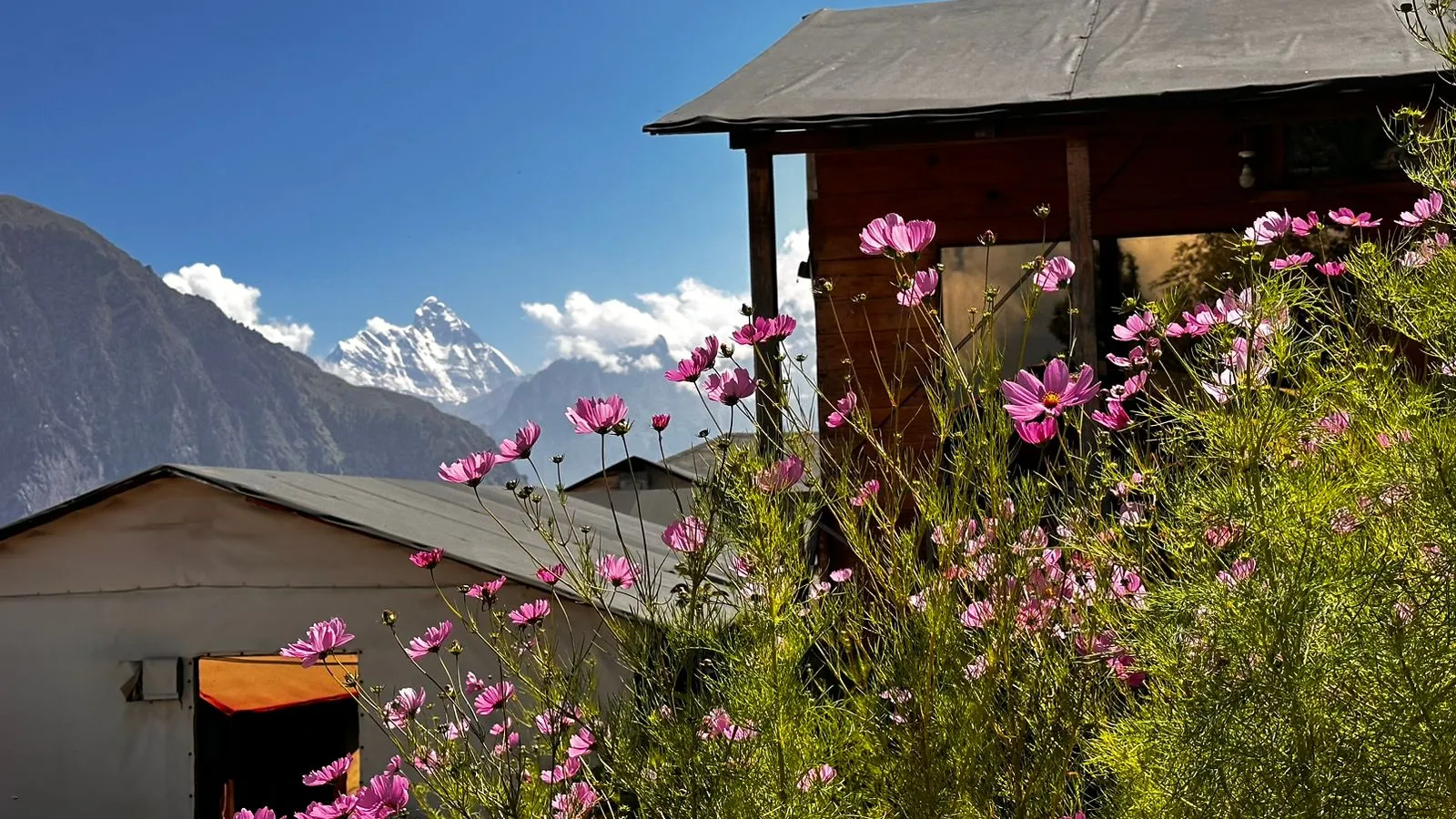 Blue Poppy Resort Auli - Near Auli Chairlift Garden