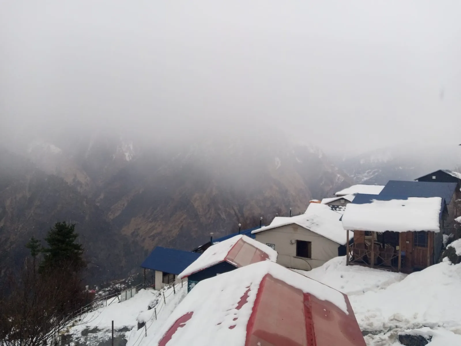 Blue Poppy Resort Auli - Near Auli Chairlift Outdoors