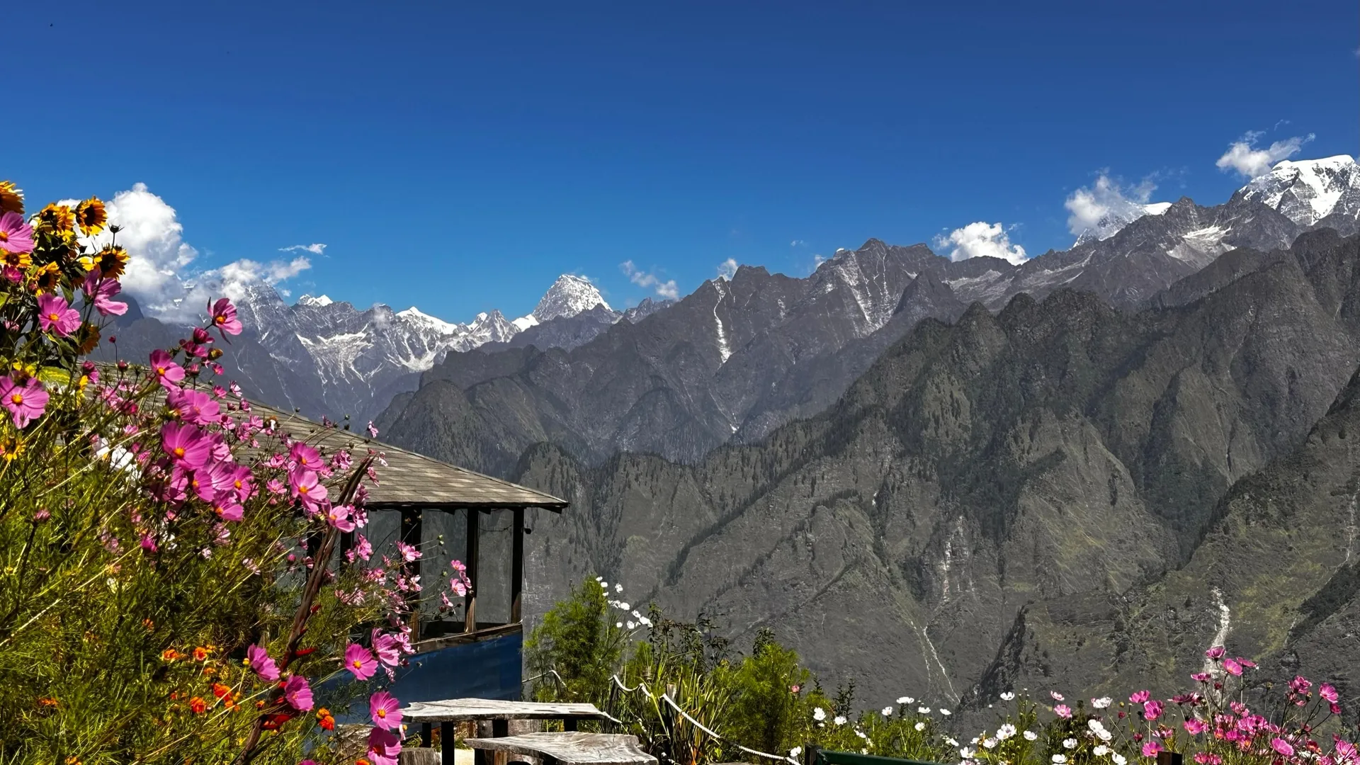 Blue Poppy Resort Auli - Near Auli Chairlift Outdoors