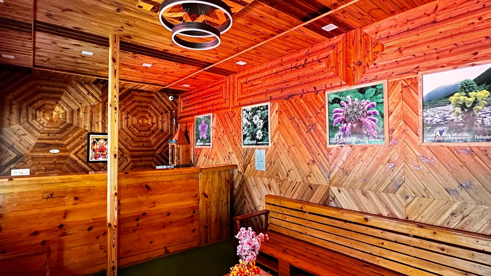 Blue Poppy Resort Auli - Near Auli Chairlift Reception
