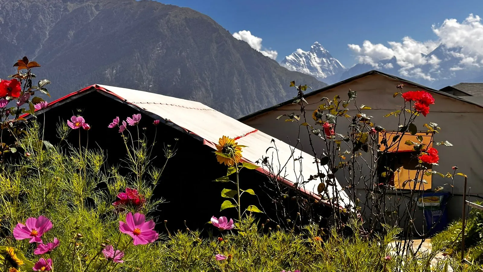 Blue Poppy Resort Auli - Near Auli Chairlift Room