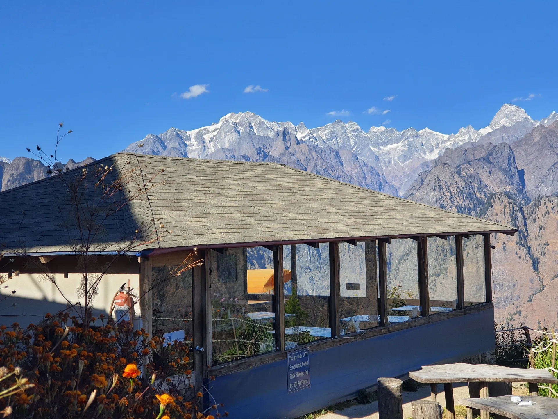 Blue Poppy Resort Auli - Near Auli Chairlift Room