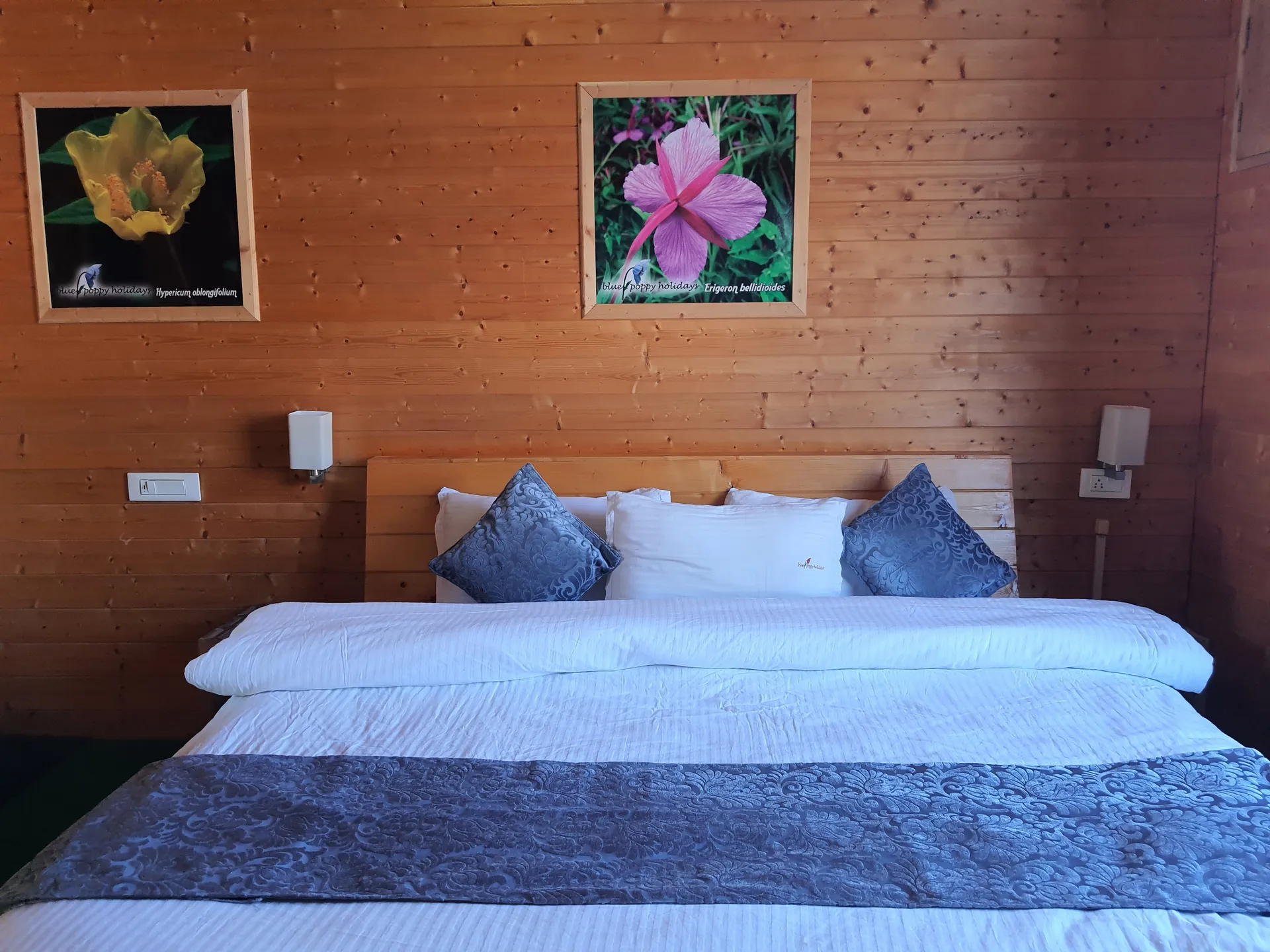 Blue Poppy Resort Auli - Near Auli Chairlift Room