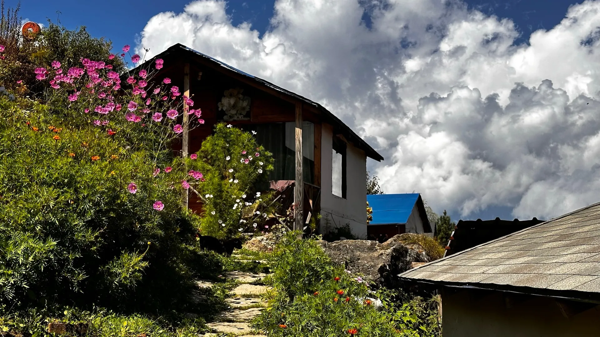 Blue Poppy Resort Auli - Near Auli Chairlift Room