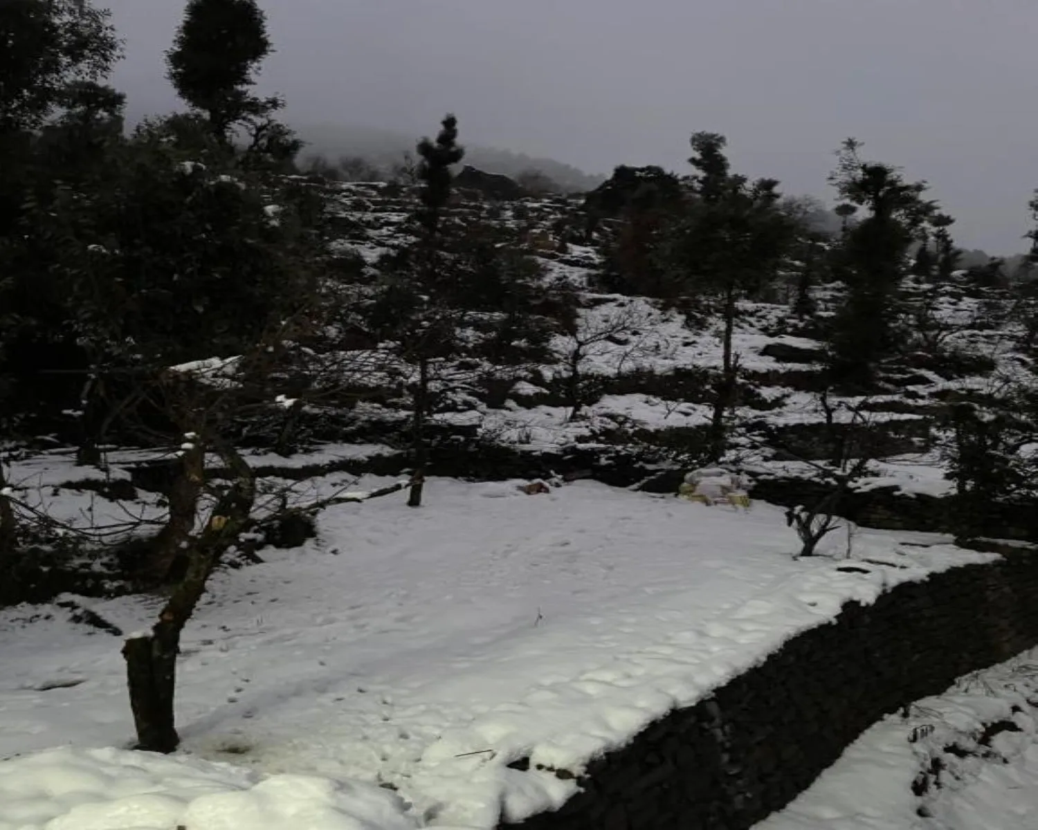 The Auli Heritage Outdoors
