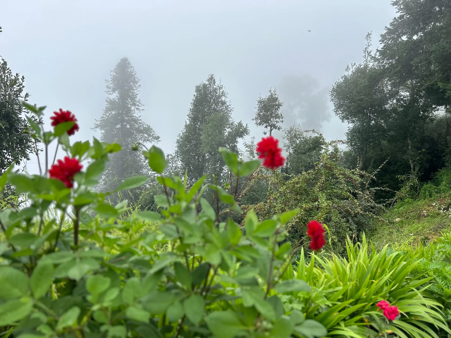 Kana Mud Resort Garden