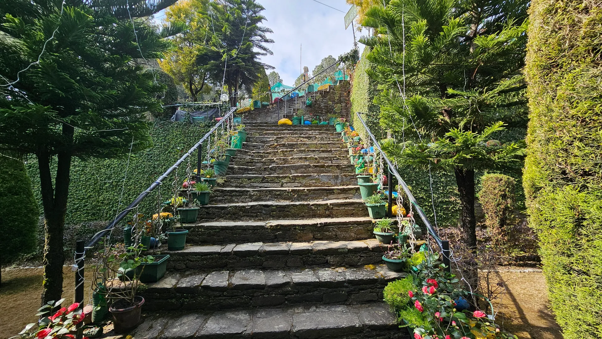 Nature's Valley Resort Garden