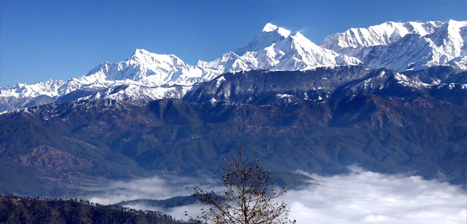 The Buransh Outdoors