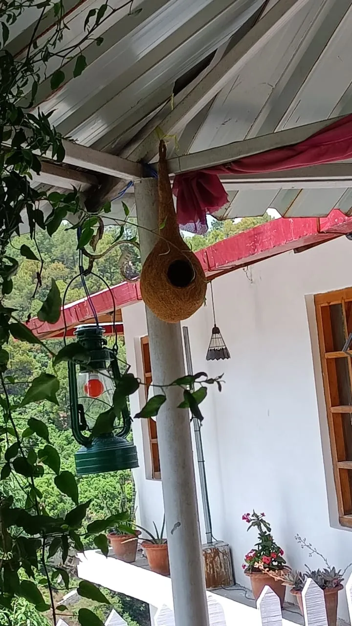 PARIJAT RETREAT  (30 KM FROM RANIKHET TOWARDS JIM CORBET) Garden