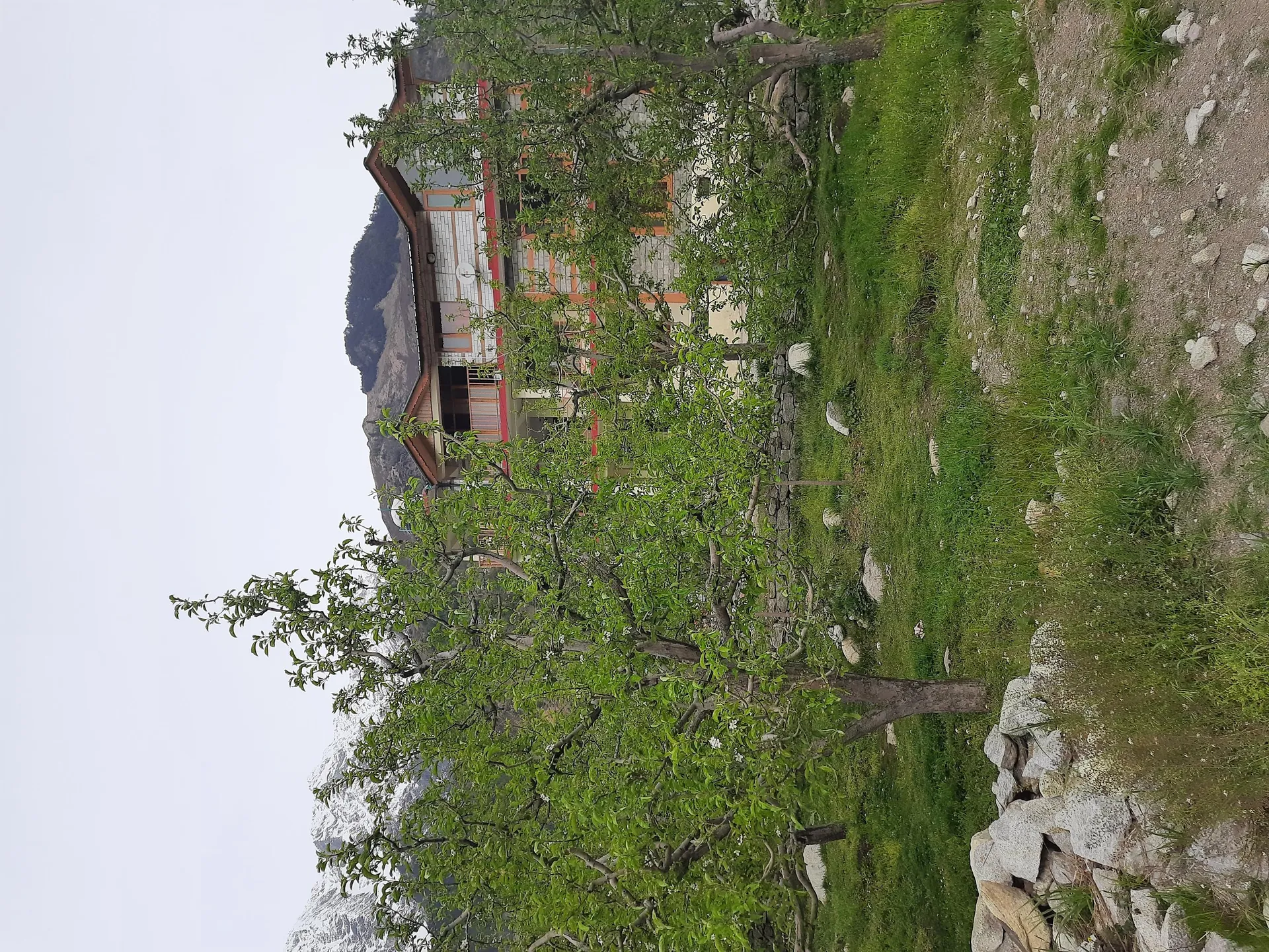 Country View Cottage Manali Outdoors