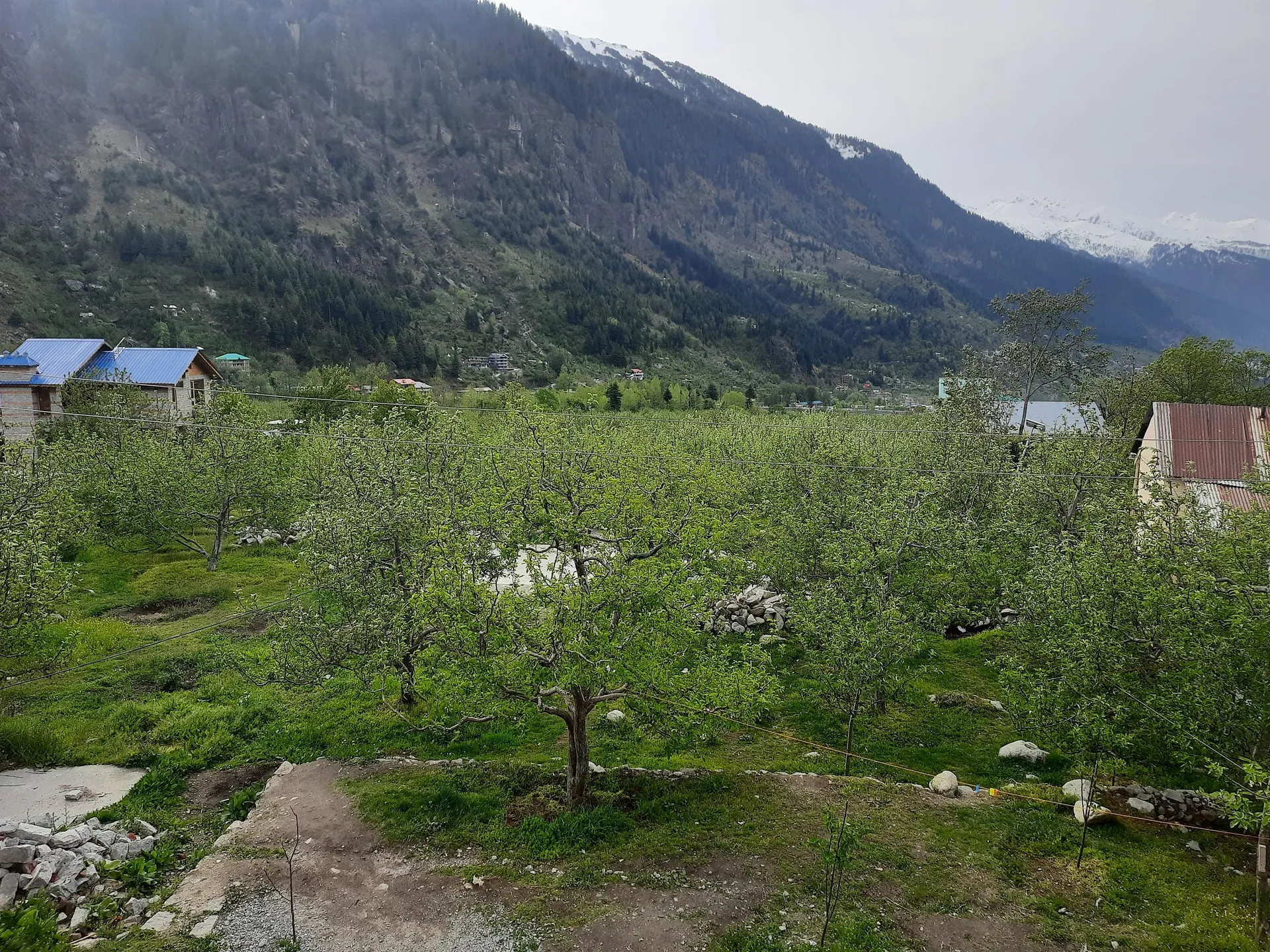 Country View Cottage Manali Views