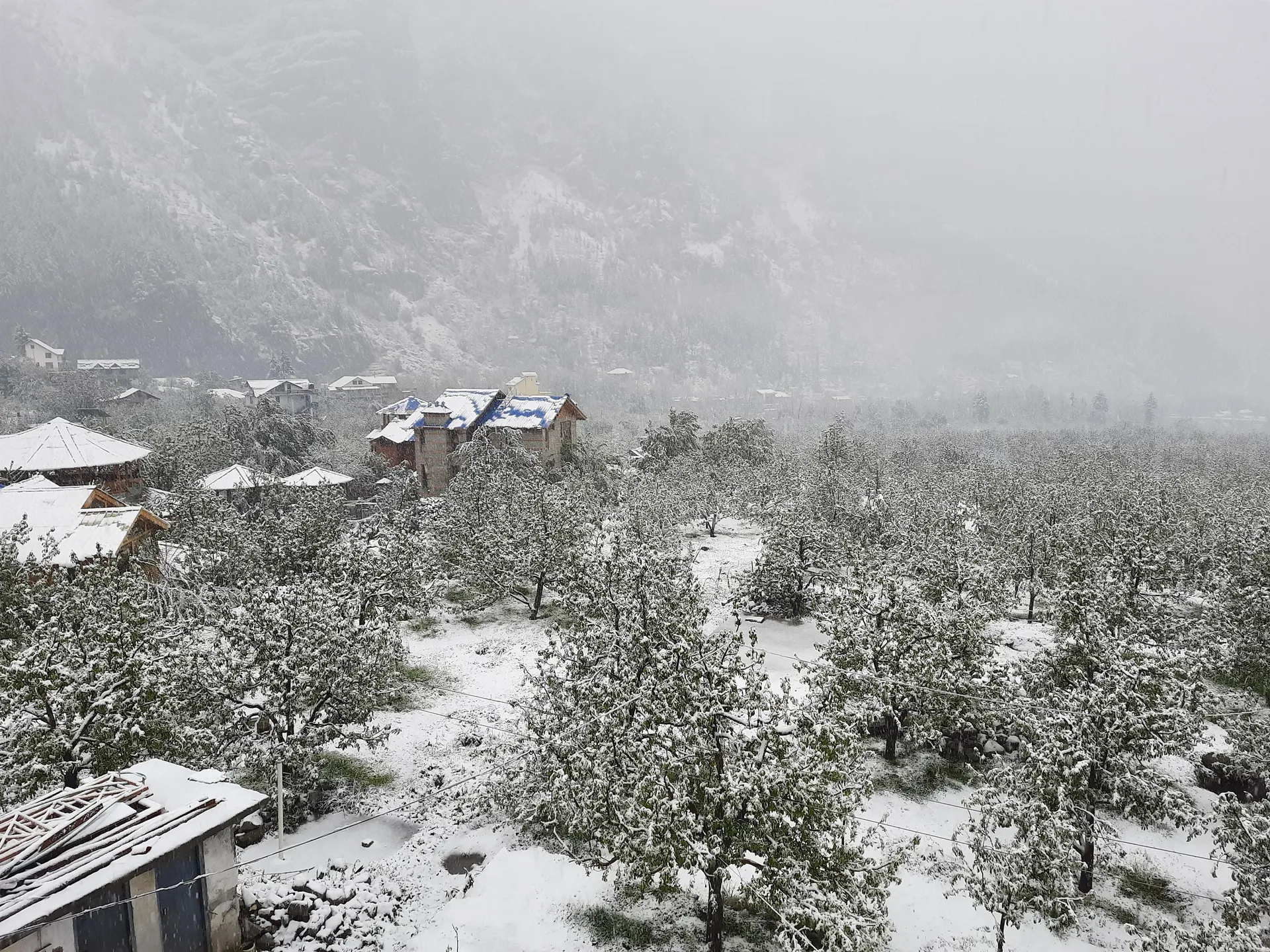 Country View Cottage Manali Views