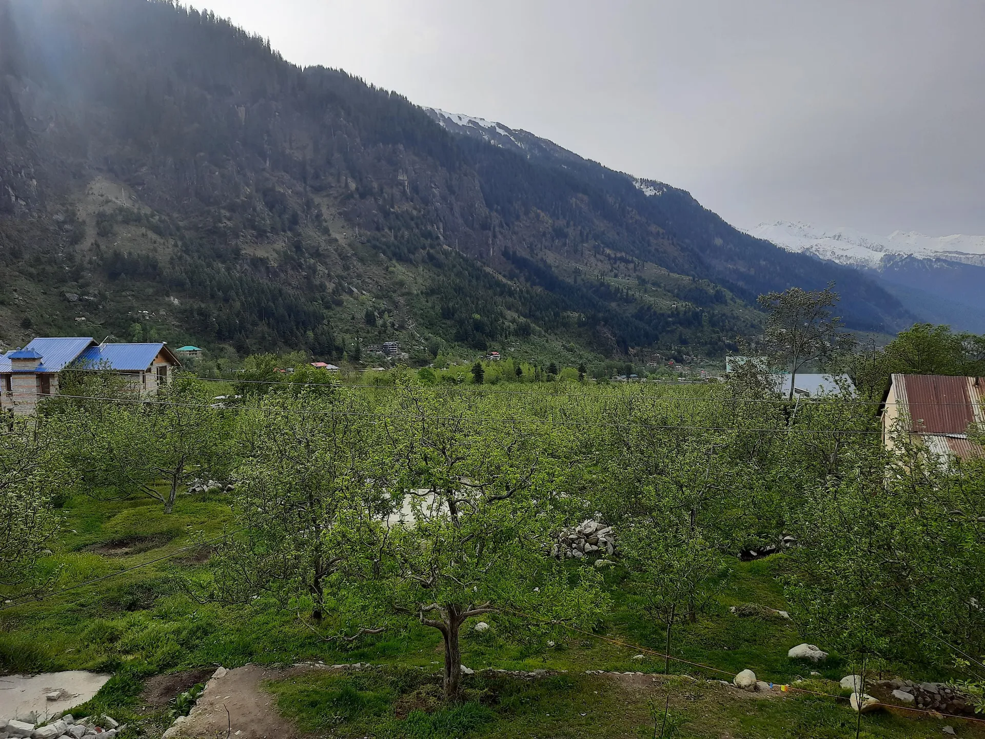 Country View Cottage Manali Views