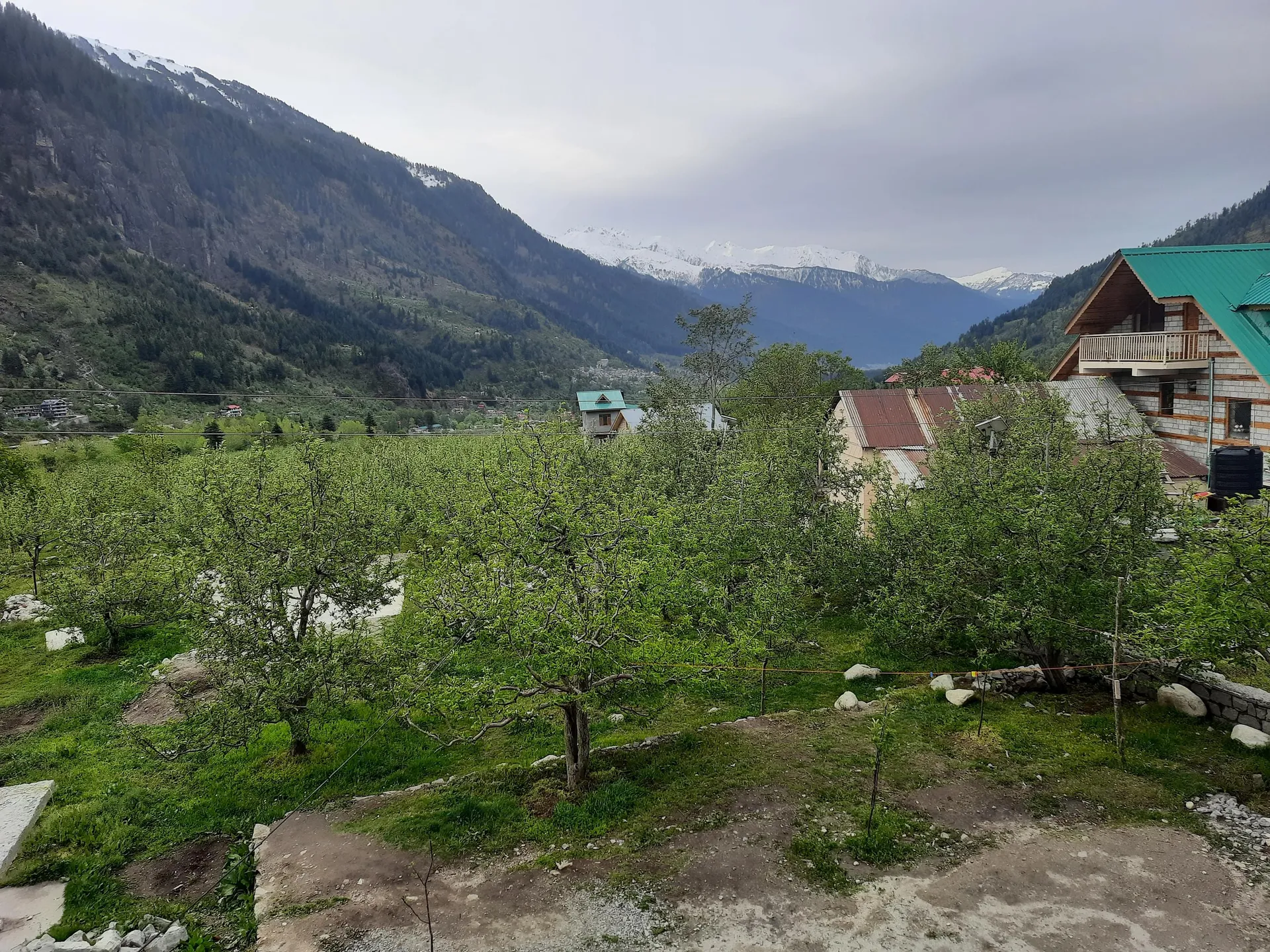 Country View Cottage Manali Views