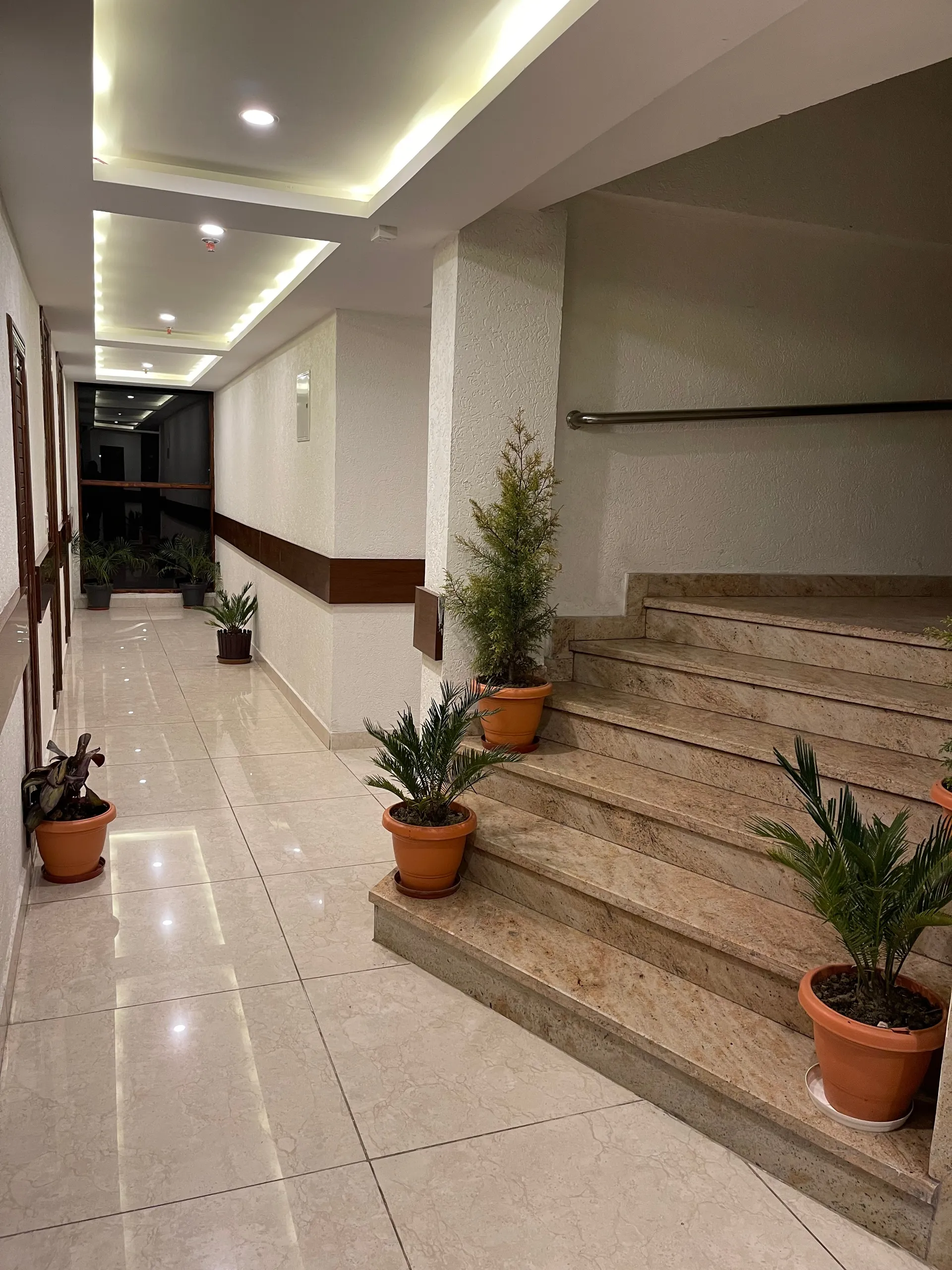 DLS La serene Valley Common Area