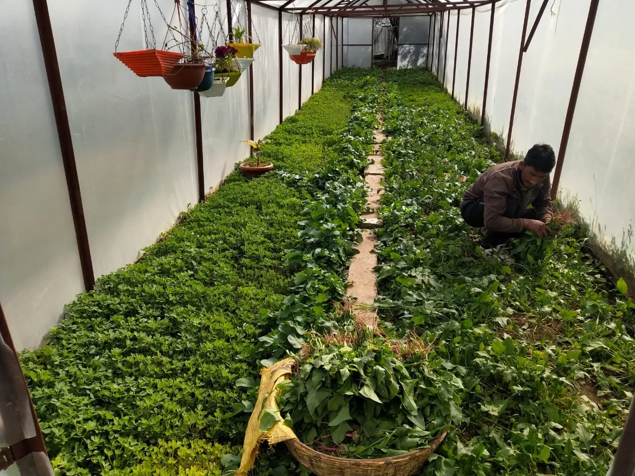 Trishul Orchard Resort Garden