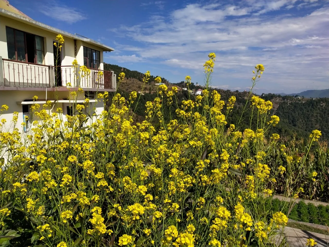 Trishul Orchard Resort Outdoors