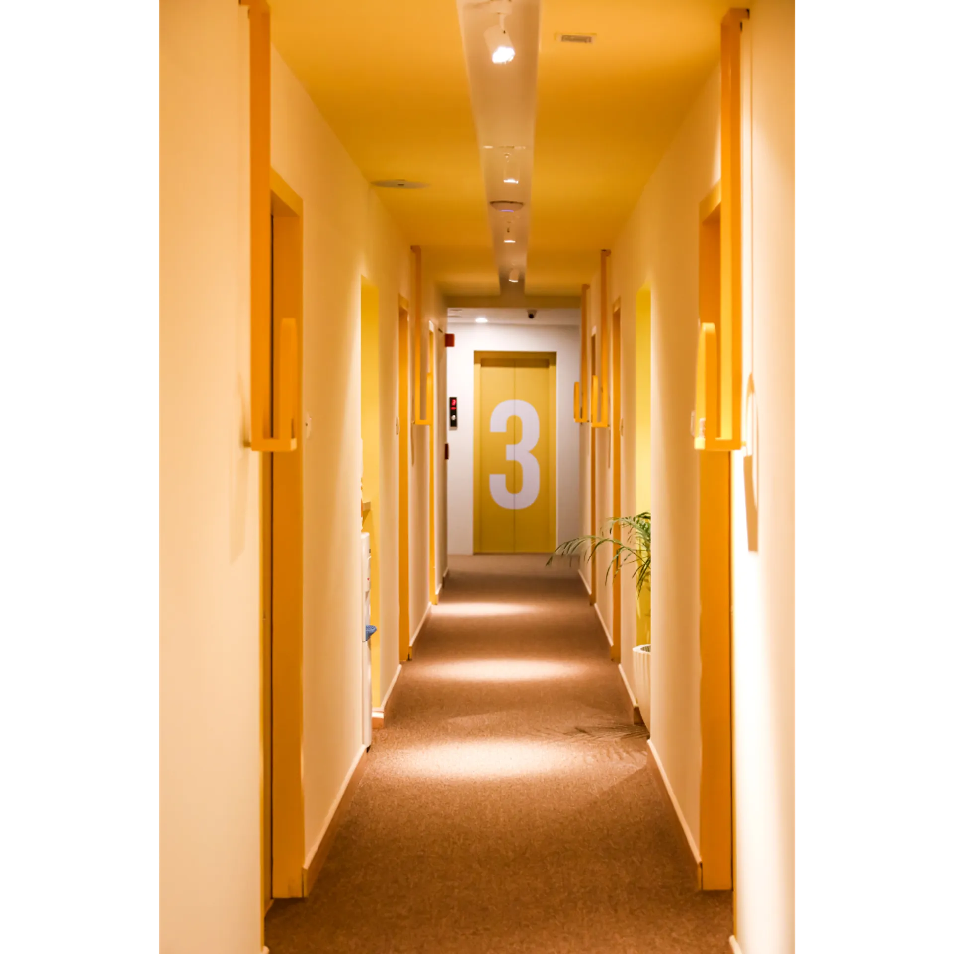 Bloom Hotel - Juhu Common Area