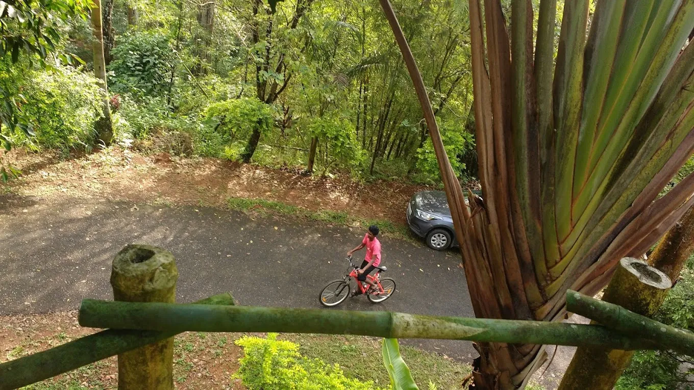 Dew Drops Farm Resort Parking