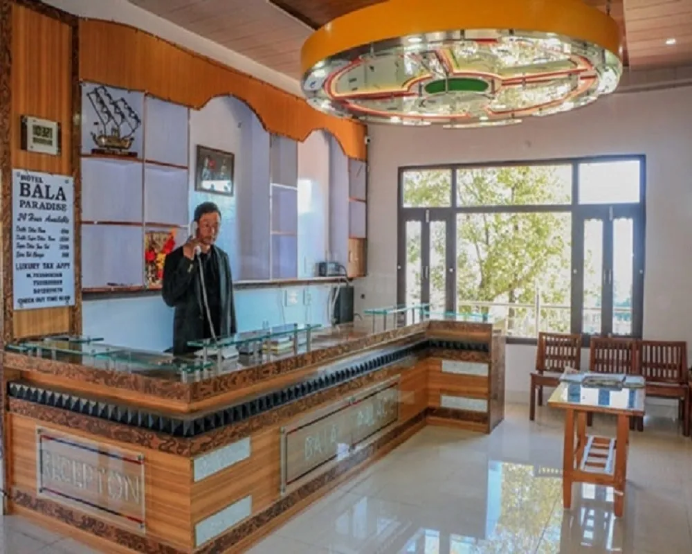 Hotel Bala Paradise Room