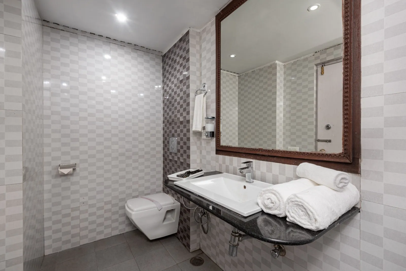 DLS Hotel Pearl Washroom